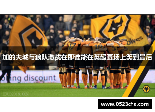 加的夫城与狼队激战在即谁能在英超赛场上笑到最后