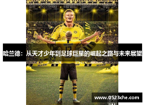 哈兰德：从天才少年到足球巨星的崛起之路与未来展望