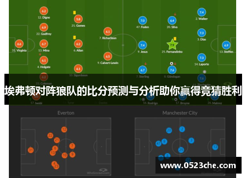 埃弗顿对阵狼队的比分预测与分析助你赢得竞猜胜利