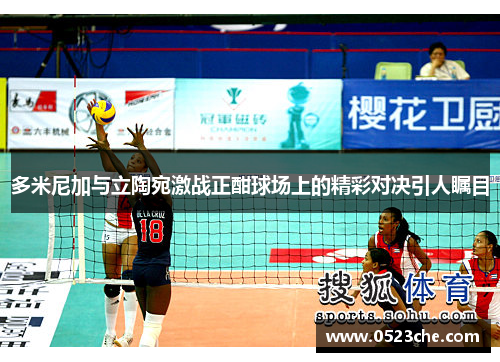 多米尼加与立陶宛激战正酣球场上的精彩对决引人瞩目