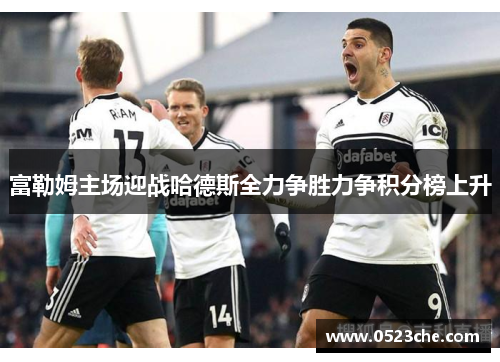 富勒姆主场迎战哈德斯全力争胜力争积分榜上升