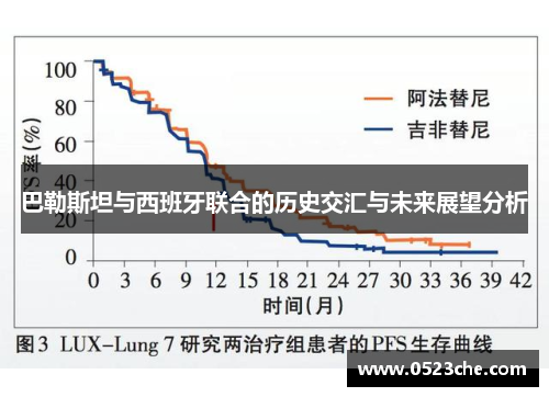 巴勒斯坦与西班牙联合的历史交汇与未来展望分析