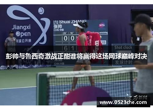 彭帅与鲁西奇激战正酣谁将赢得这场网球巅峰对决
