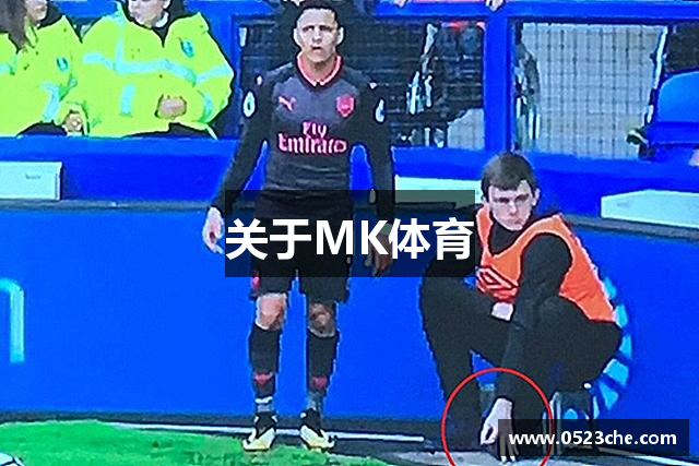 关于MK体育